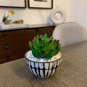 Faux Succulent